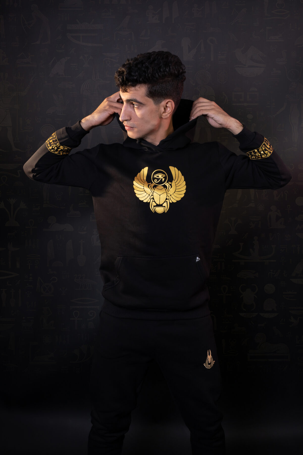 Scarab Hoodie - Image 7
