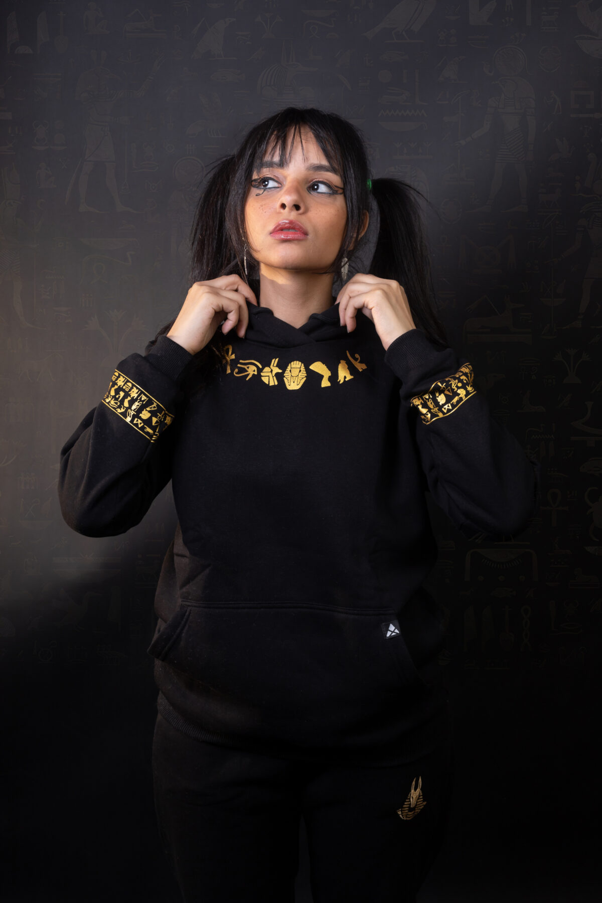 Egyptian Symbols around neck hoodie - Image 6