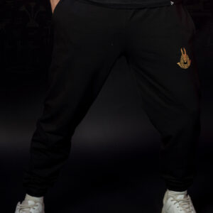 Men's winter sweatpants